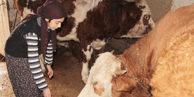 Çemişgezek’ten büyük bir başarı çıktı