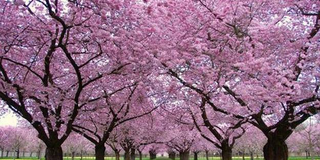 Cemre ne zaman düşecek? 2022 cemre tarihleri