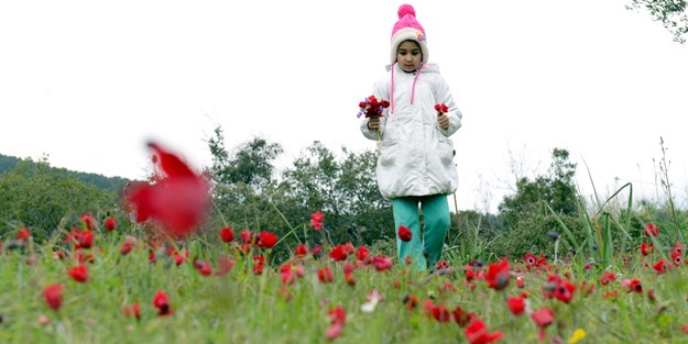 Cemre ne zaman düşer 2019? Cemre havaya ne zaman düşecek 2019?