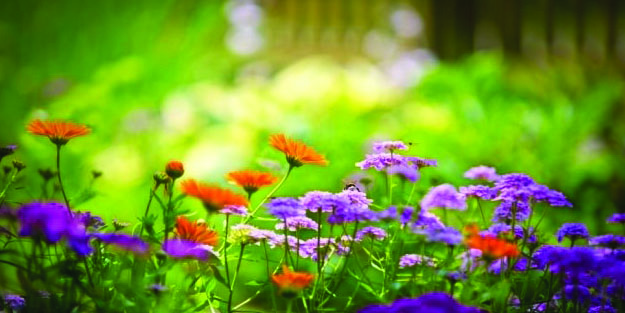 Cemre nedir? Cemre ne anlama geliyor? Senenin ilk cemresi ne zaman düşecek?