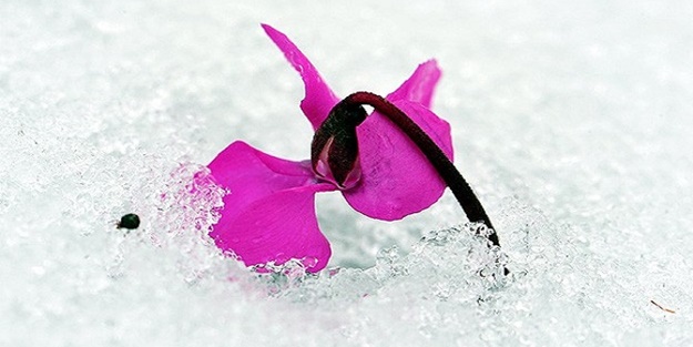 Cemreler ne zaman düşecek?