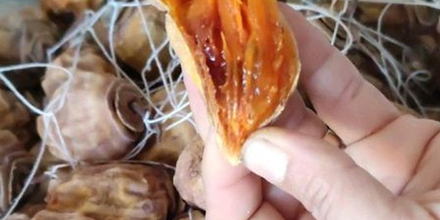 Cennet elması kurutma tarifi: faydasını 10 kata katlıyor! Bu elma çok farklı yapılıyor! Kim bilir kaç bin yıllık tarif