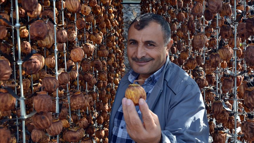 Cennet hurmasını kurutup 1 lira yerine 23 liradan satıyor