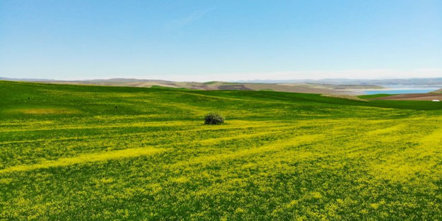 Cennet vatan Türkiye! Her köşesinden güzellik fışkırıyor