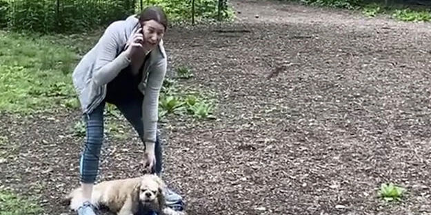 Central Park'ta siyahiye iftira atan Cooper dava açtı