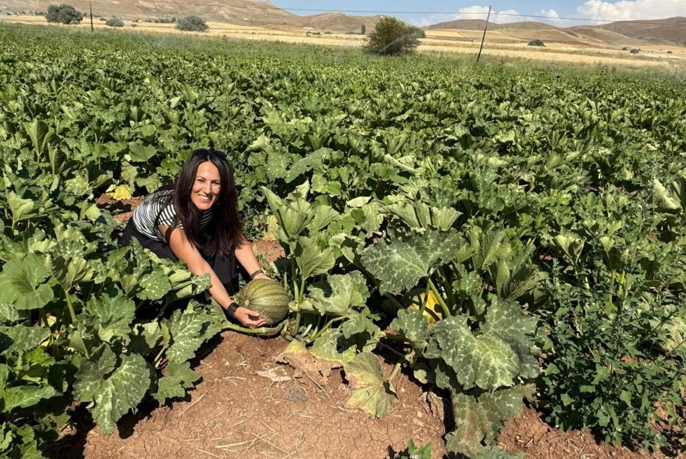 Çerezlik kabak üretimi yaygınlaşıyor