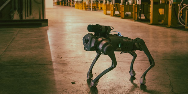 CERNquadbot radyasyon kokluyor! Bu robot köpek diğerlerine benzemiyor