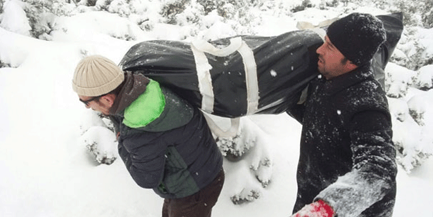 Cesetlerini metrelerce böyle taşıdılar!