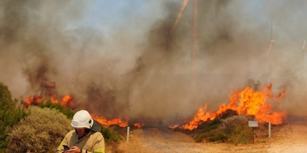 Çeşme'de çıkan yangının sebebi belli oldu