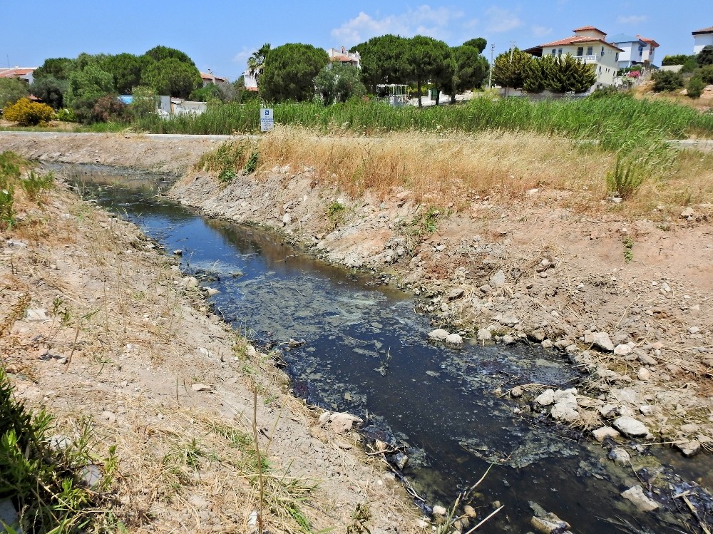 Çeşme’de dereden gelen kötü koku isyan ettirdi 