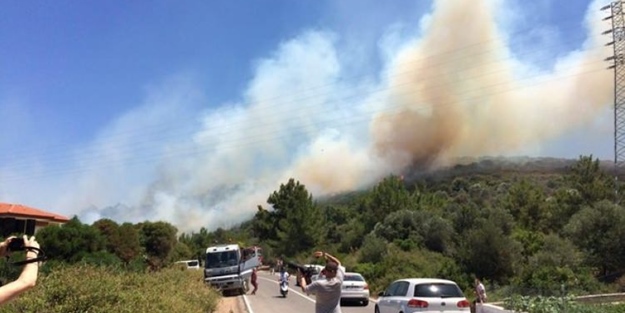 Çeşme’de korkutan yangın!