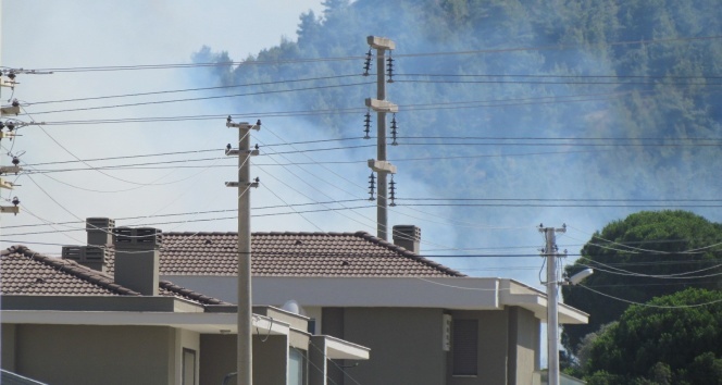 Çeşme'de yerleşim yerlerini korkutan yangın