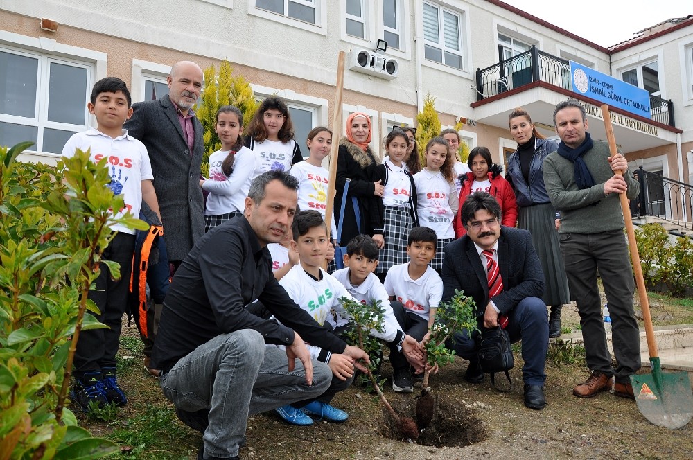 Çeşmeli öğrenciler Sakız Ağacı dikti 