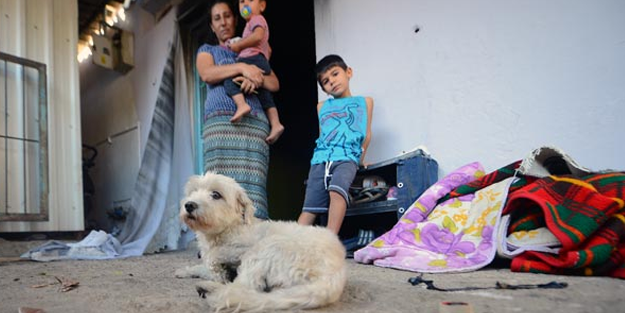 Cesur köpek 'CESUR', hayatlarını kurtardı! 'İyi ki almışım, iyi ki beslemişim'