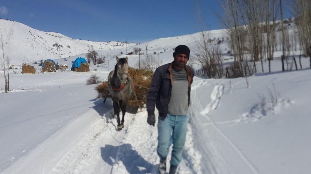 Çetin kış şartları, hayvancılıkla uğraşanları zorlamaya başladı 