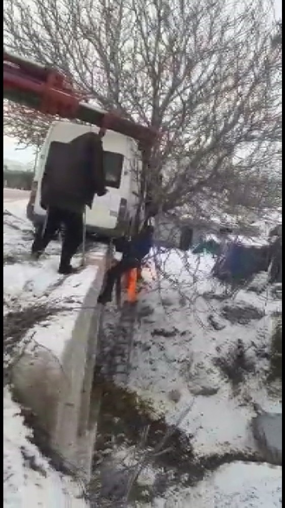 Ceviz ağacı hayatını kurtardı 