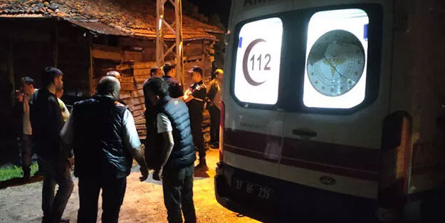 Ceviz dalını kesme kavgasında kan aktı