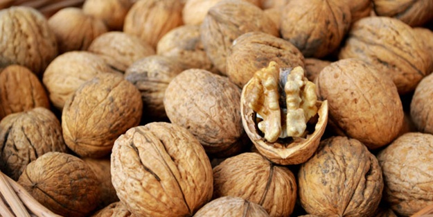 Ceviz kabuğunun faydaları nelerdir?