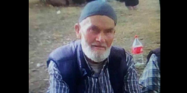 Ceviz topladığı ağaçtan düşüp can verdi