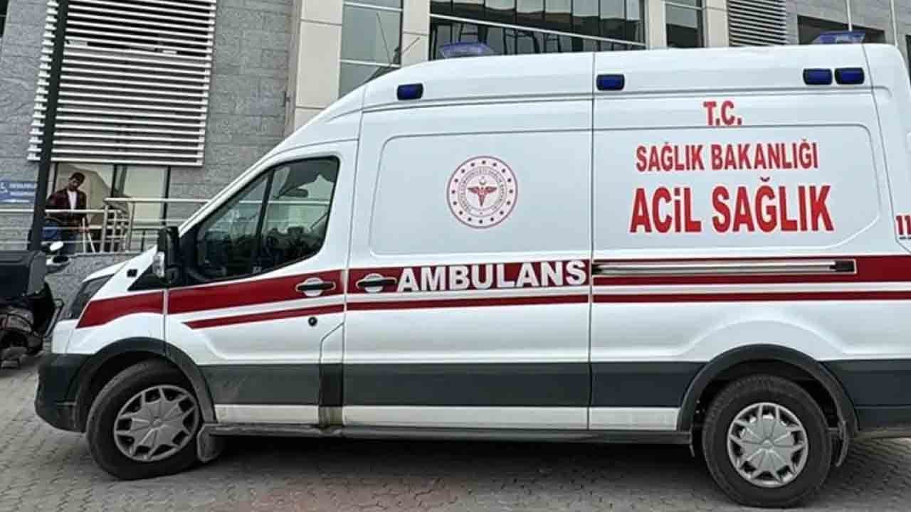 Ceviz toplamaya gitmişti: 82 yaşındaki kadın tarlada ölü bulundu!