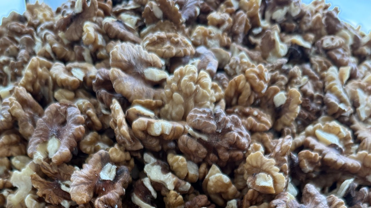 Ceviz üretimi çöktü! Zirai don sonrası ürün yüzde 99 azaldı