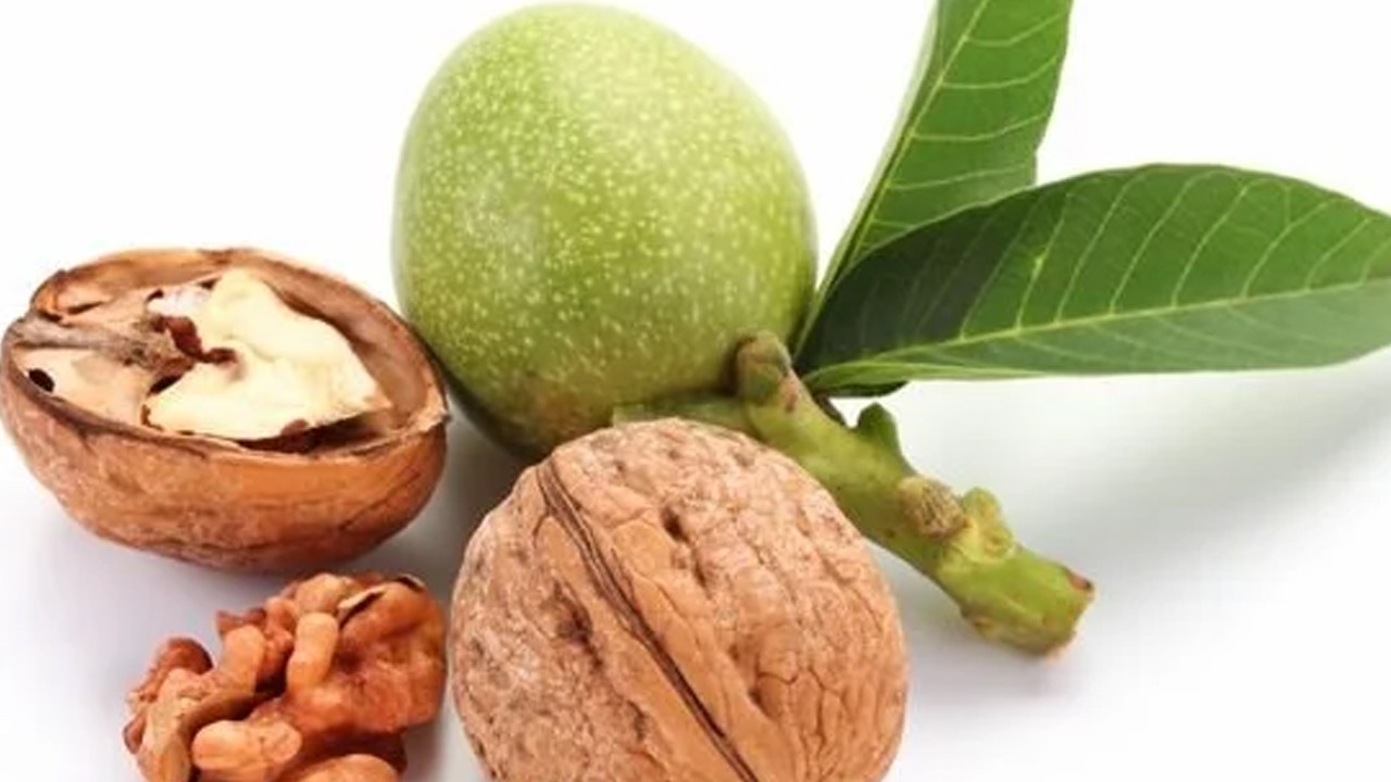 Ceviz Yaprağı: Faydaları Nelerdir? Neye yarar?