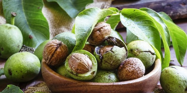 Ceviz yaprağının bilinmeyen yeni bir faydası ortaya çıktı! Bunun üzerine bir rakip yok: Ne işe yarar açıklıyoruz