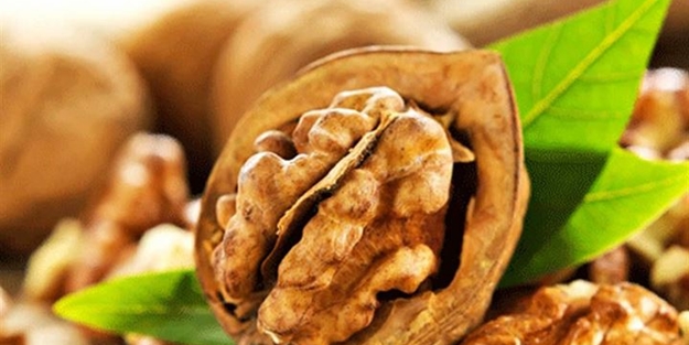 Ceviz yaprağının öyle faydaları var ki!