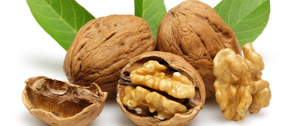 Ceviz ye, yaşlanma!