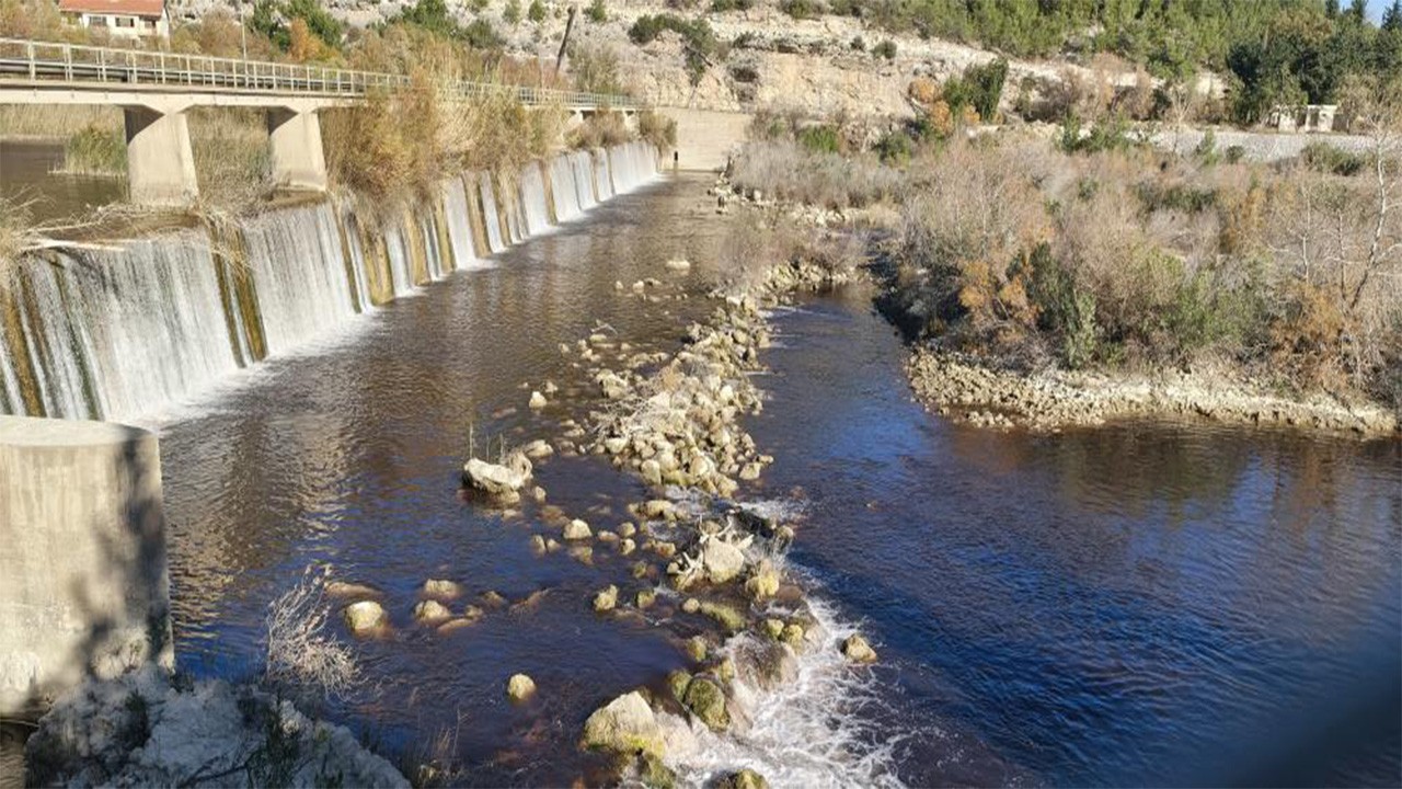 Çevre katliamına komik para cezası