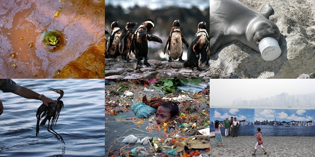 Çevre kirliliğinin etkileri yürek burkuyor