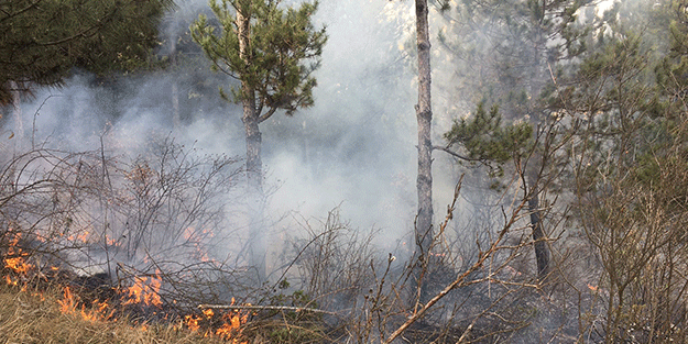 Çevre temizliğine katkı sunmak istedi! Koca ormanı tutuşturdu