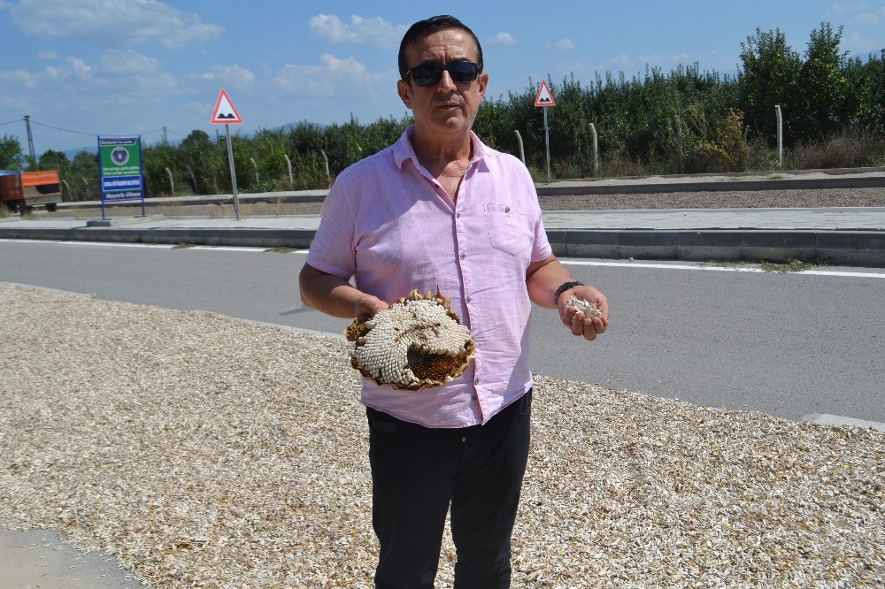 Çevre yolunda ilginç görüntü 