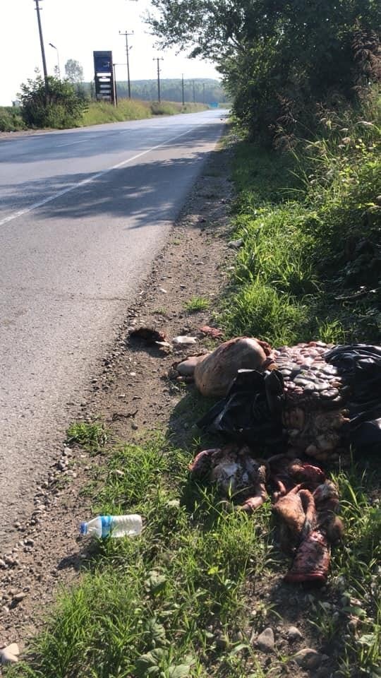 Çevreye atılan kurban atıklarına vatandaşlardan tepki 