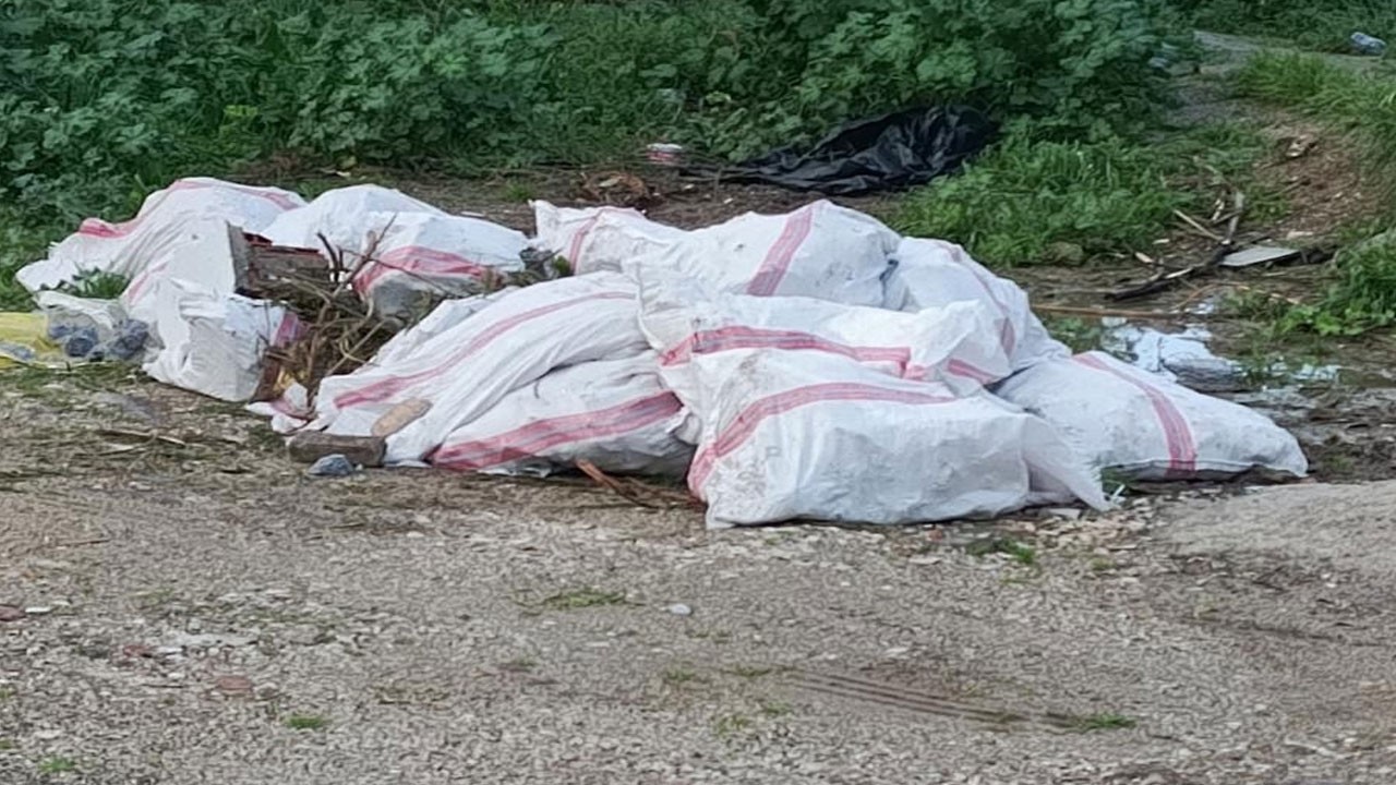 Çevreyi kirletene 50 bin liralık ceza kesildi!