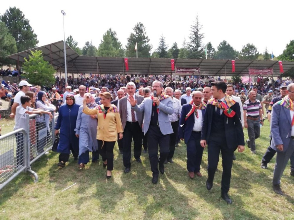 Ceyda Çetin Erenler: 