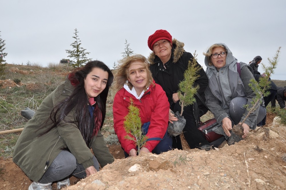 Ceyhun Yeltekin Arısoy’un ismi dikilen fidanlarla yaşatılacak 