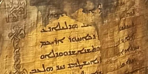 Ceylan derisinden yapılmış! Otomobilde ele geçirildi