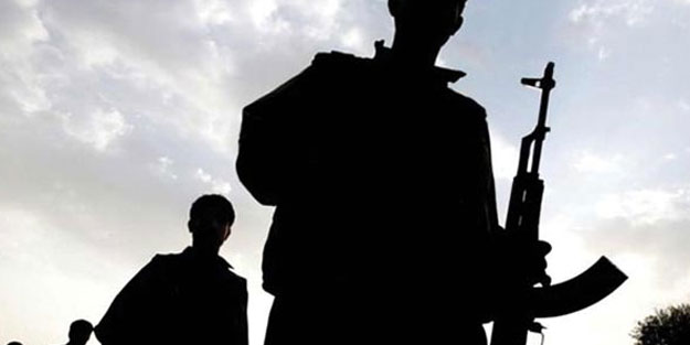 Ceylanpınar'da 2 PKK'lı terörist teslim oldu