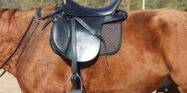 Çeyrek asırdır ‘eyer’ yapıyor