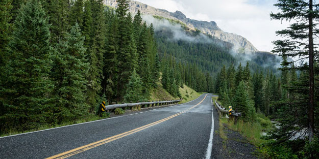 Ceza için ormanda bırakılan çocuk bulunamıyor