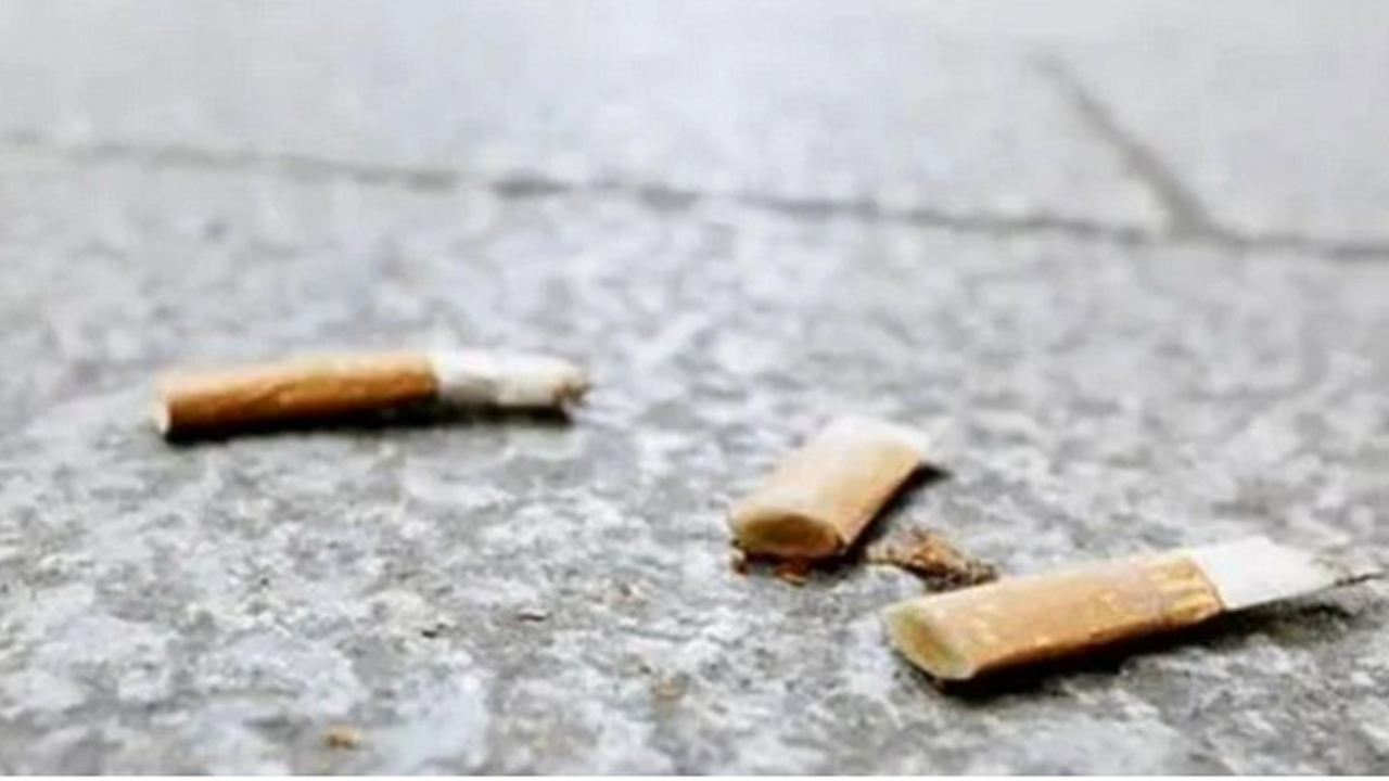 Ceza tarifesi geliyor! Sigara izmaritine 11 bin 750 lira, köpek dışkısına 3 bin 760 lira ceza