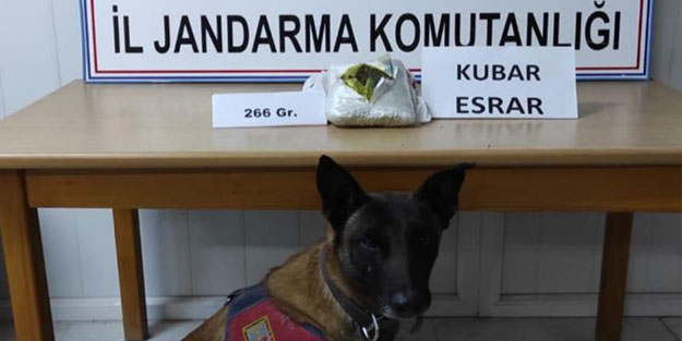 Cezaevinden çıktı, uyuşturucuyla yakalandı