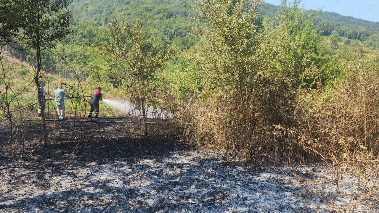 Cezalar yetersiz olunca felaketten dönüldü
