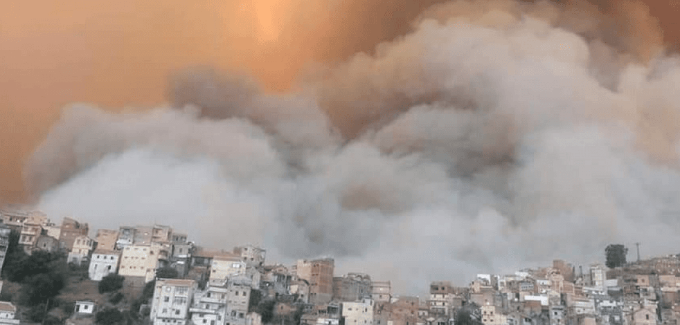 Cezayir'de 31 noktada orman yangını çıktı: 7 ölü, 3 yaralı