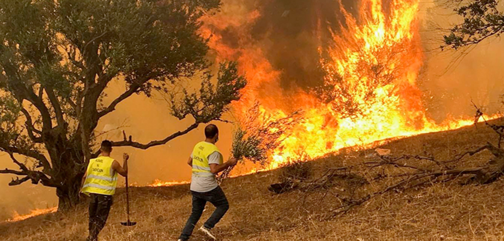 Cezayir’de çıkan yangınlarda 71 kişi hayatını kaybetti
