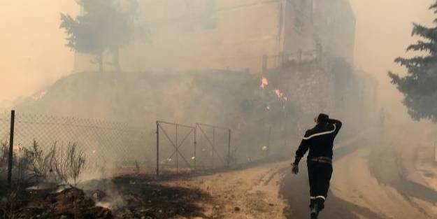 Cezayir'de orman yangınlarında feci bilanço! Onlarca ölü var