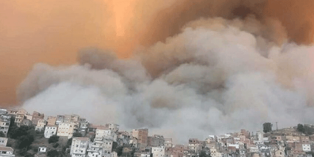 Cezayir'deki orman yangınlarında yaşamını yitirenlerin sayısı 65'e yükseldi