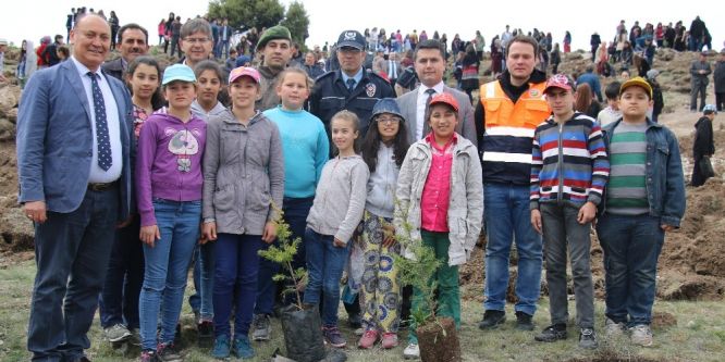 Seyitgazi’de herkesin bir fidanı var