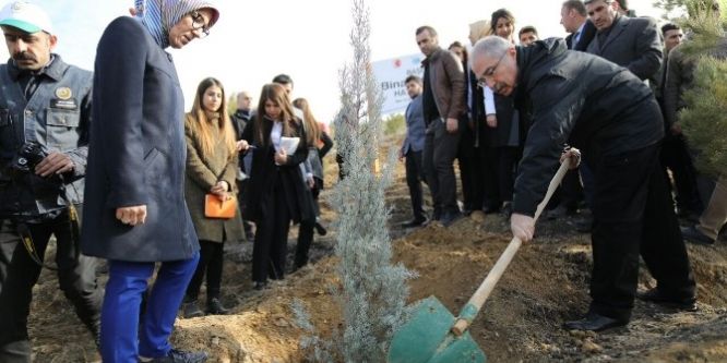 Mardin’de ’Bereket Ormanlarına’ fidan dikildi